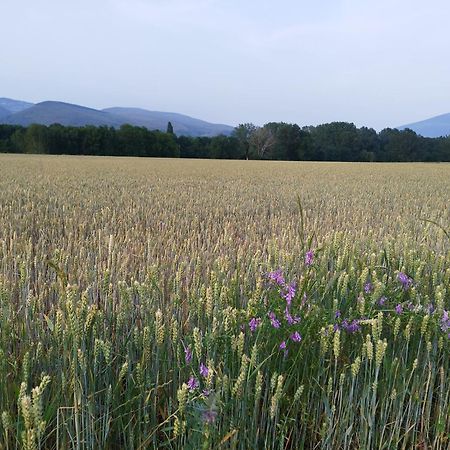 Appartamento Cal Jan - Cadi Bellver De Cerdanya Esterno foto